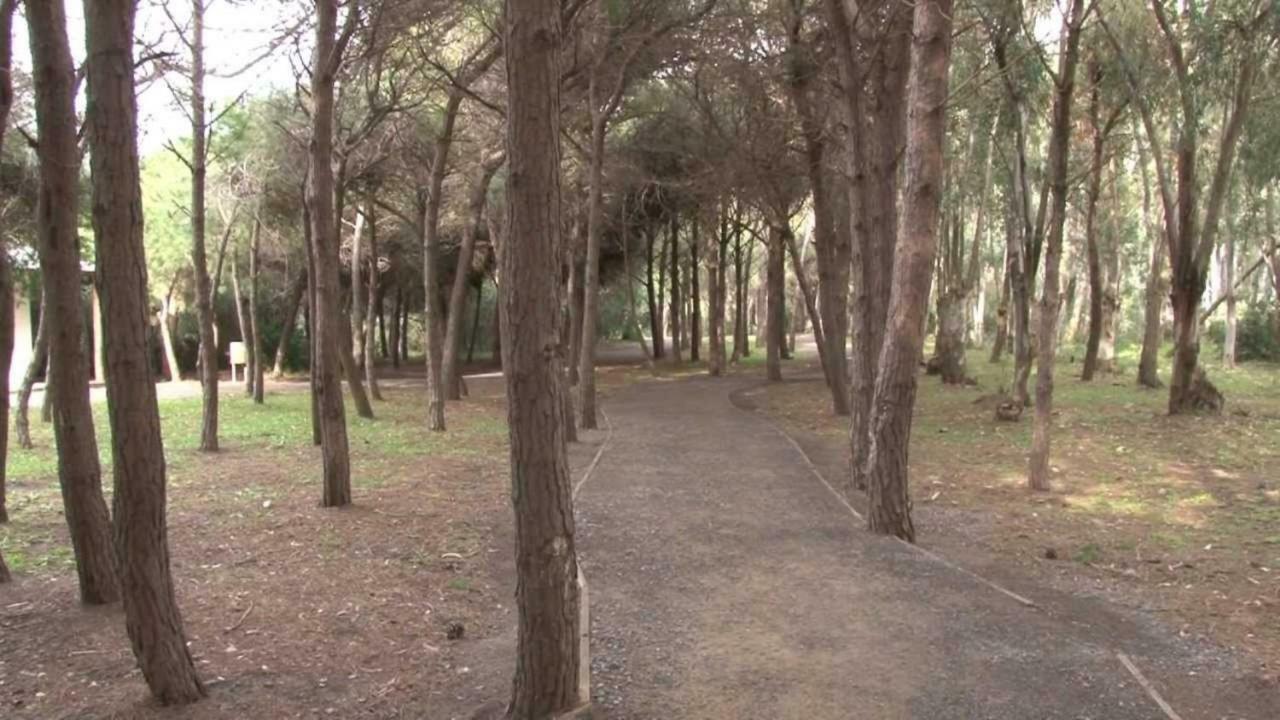 La Dolce Vita, Relax & Kite Lamezia Lamezia Terme Εξωτερικό φωτογραφία